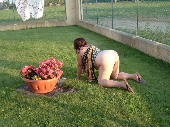 Voyeurists without panties