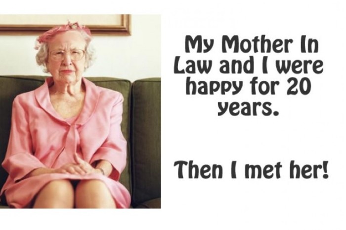 Mother in Law Story