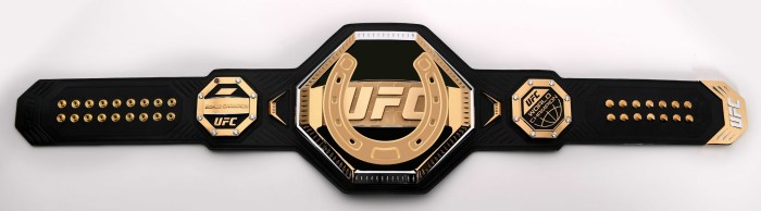 Combat Khabib and Dustin Porrier