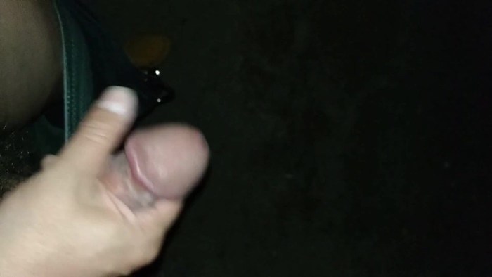 Male masturbation in cars