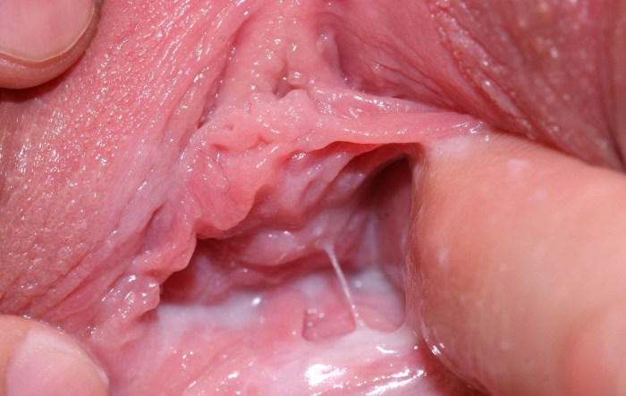 The camera inside the vagina