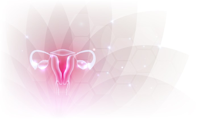 Gynecologist man