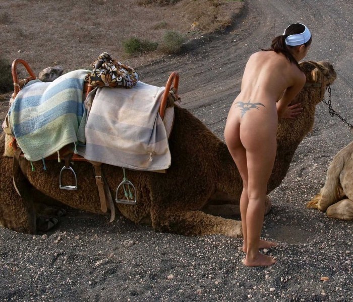 Chukchi women anal