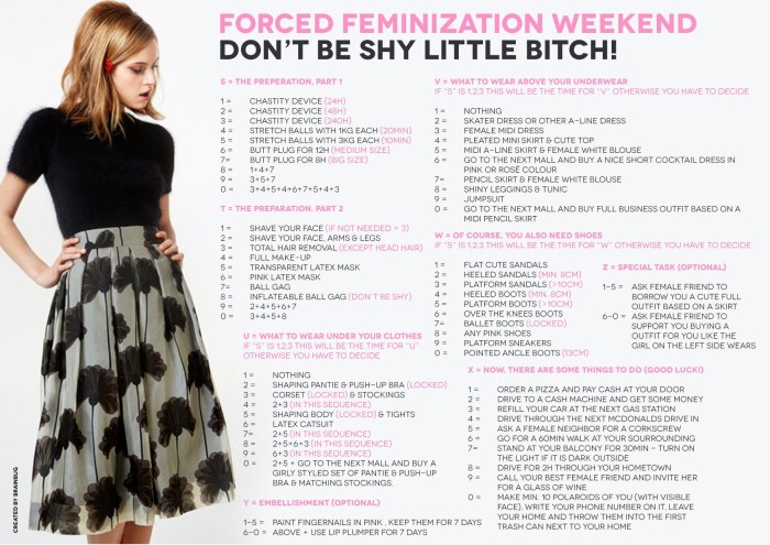 Tasks for Sissy
