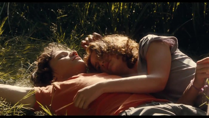 First love 2011 France
