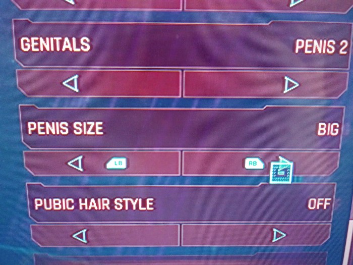 Castamization of the penis in cyberpunk
