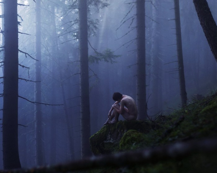 One in the forest