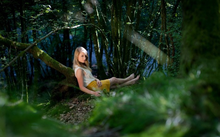 Elena Forest Model