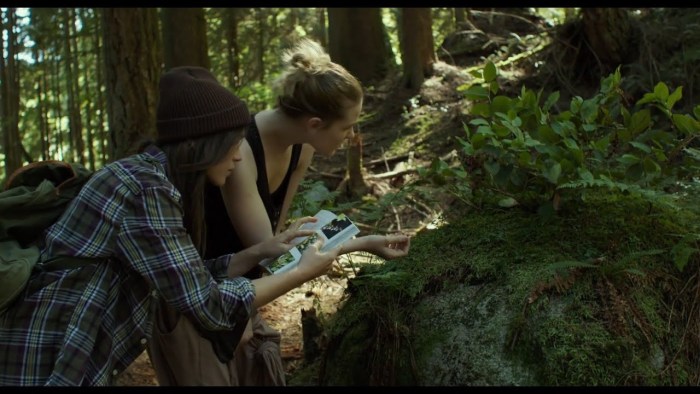 In isolation / Into the Forest / Film
