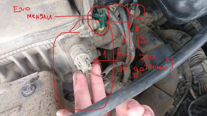 The idiotic idiom sensor of Toyota Karina 5a