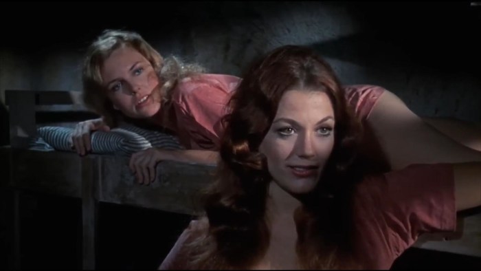 Girls from prison Film 1972