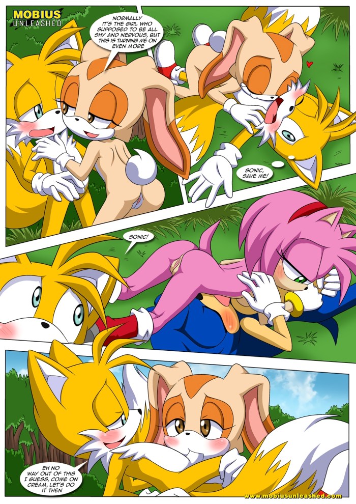 Amy Rose and Talez Hentai Comics