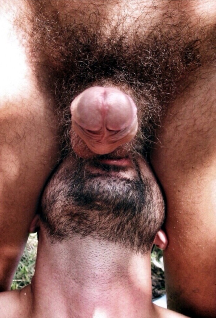 Hairy men with huge members