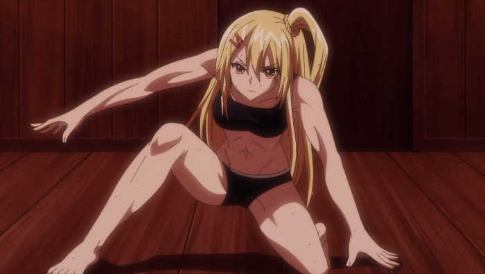 Crimson Girls Anime