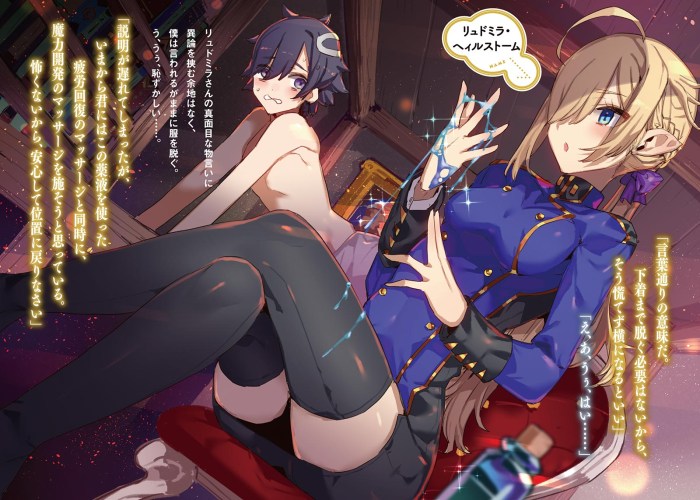 Boku Girl: Boku No Arbeit Ranobe