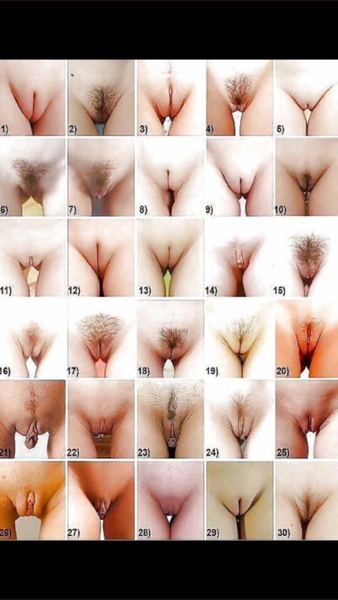 Types of girls' pussies