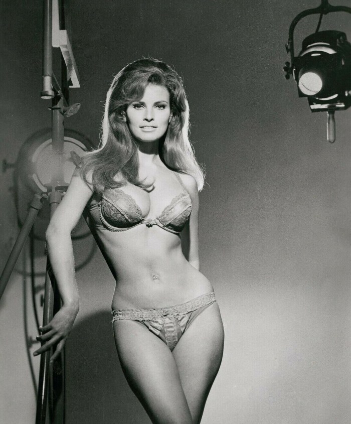 Actress Rakel Welch