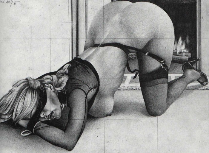 The drawings are hard erotic