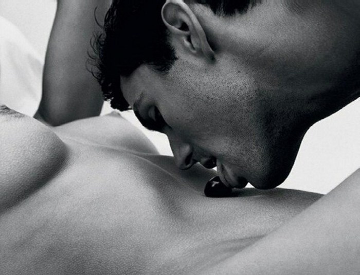 Kisses breasts