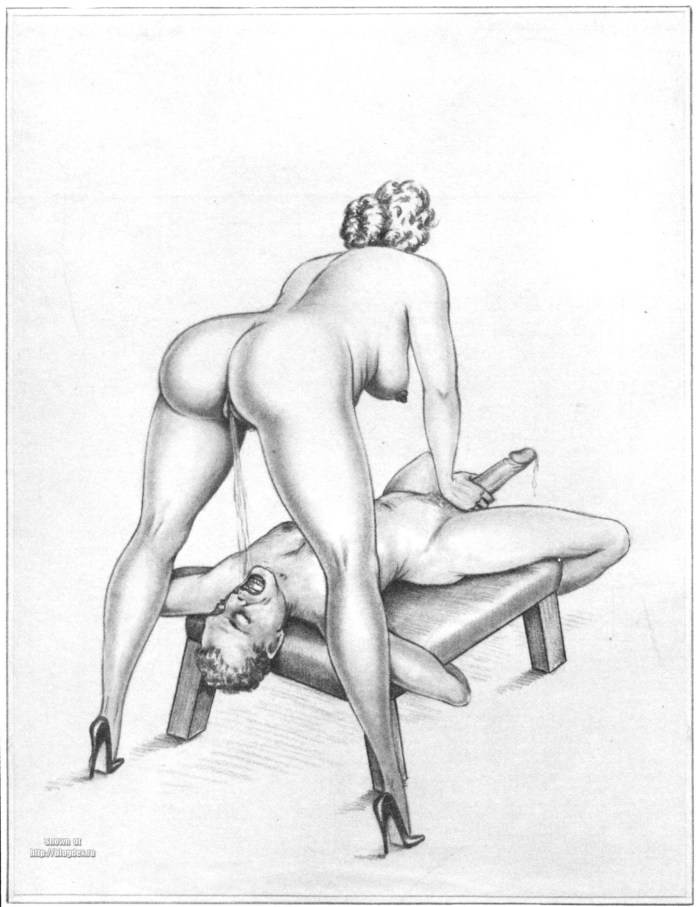 Female dominance of pencil
