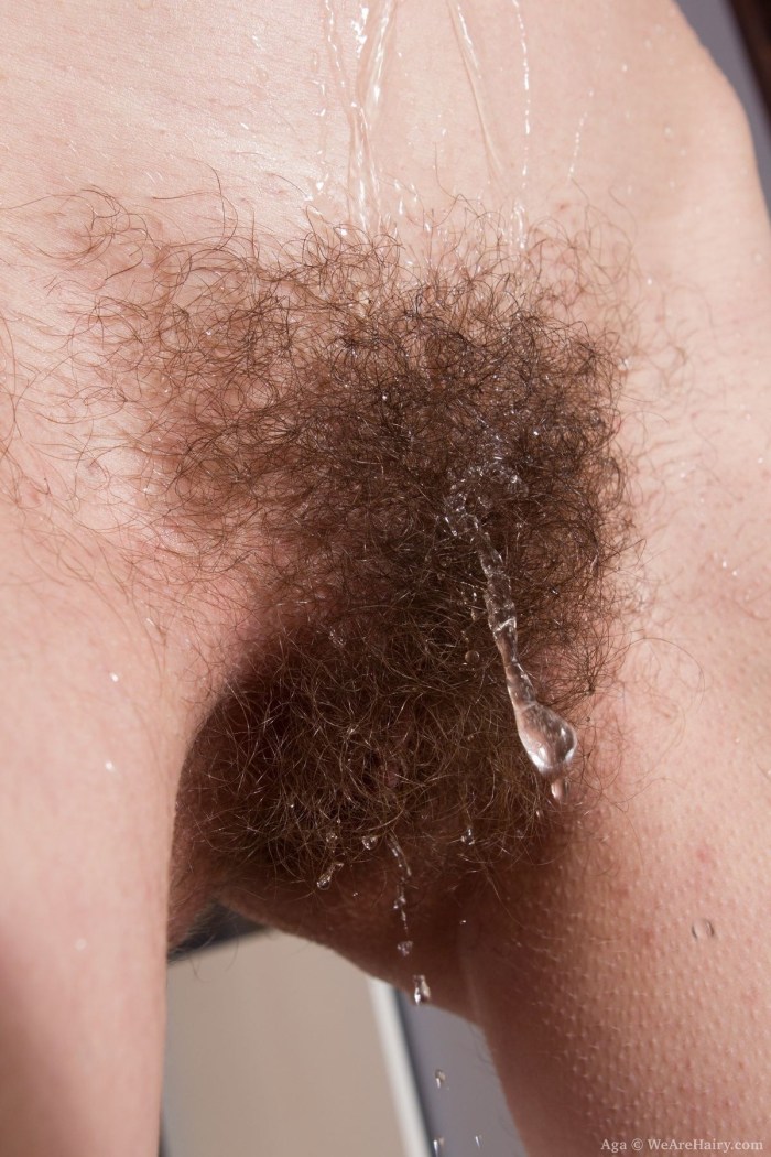 Brown hair on the pubis