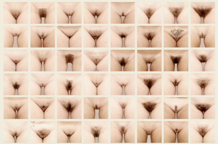 Vagin wall Jamie McCartney