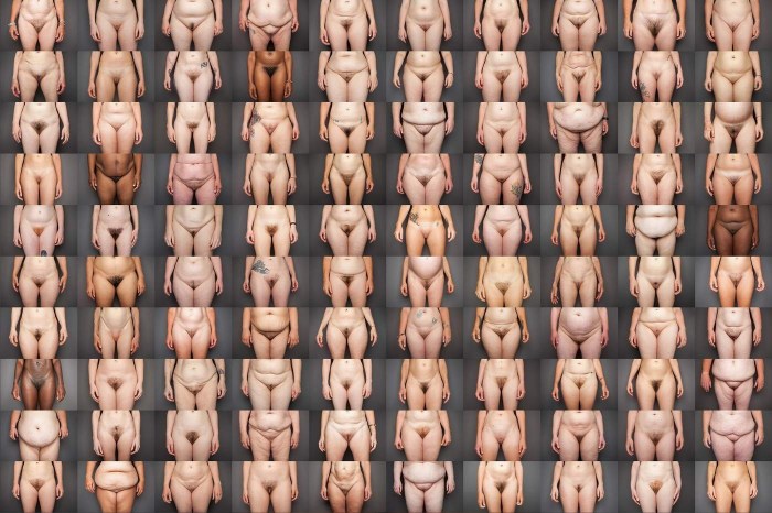 Types of figures of women's vaginas