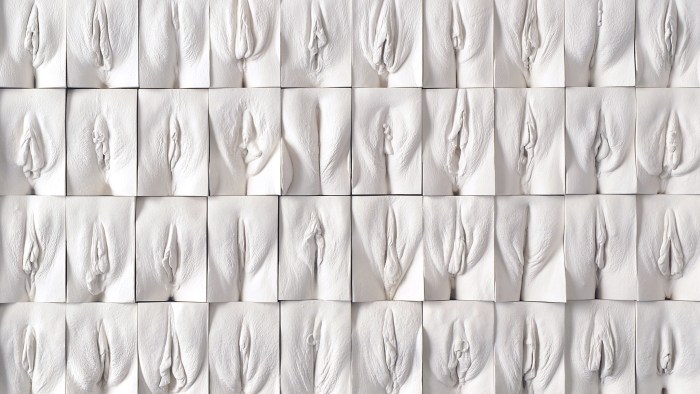 Vagin wall Jamie McCartney