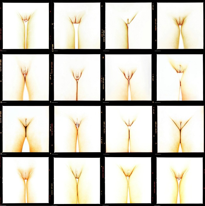 Varieties of female vagina