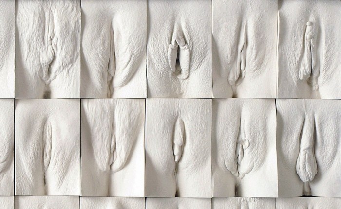 Blinks of vagini Jamie McCartney