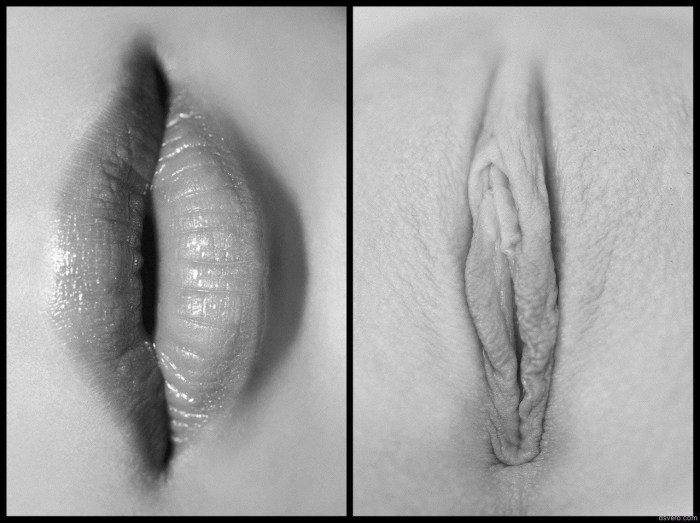 Forms of female genitals