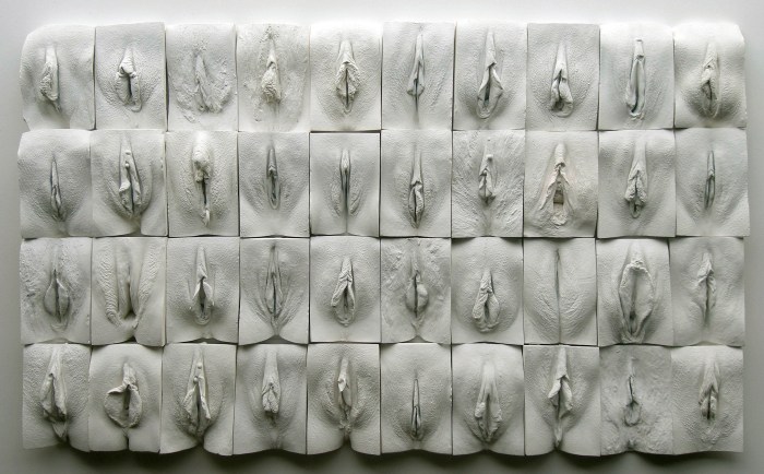 Jamie McCartney "The Great Wall of Vagin"