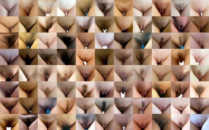 Jamie McCartney "The Great Wall of Vagin"