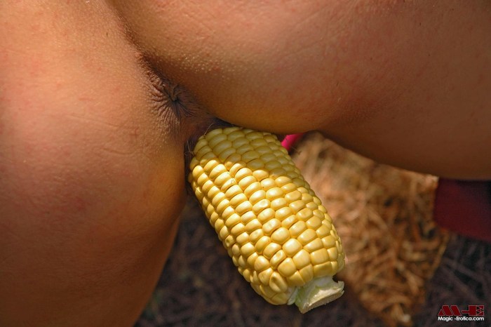 Corn cob in the ass