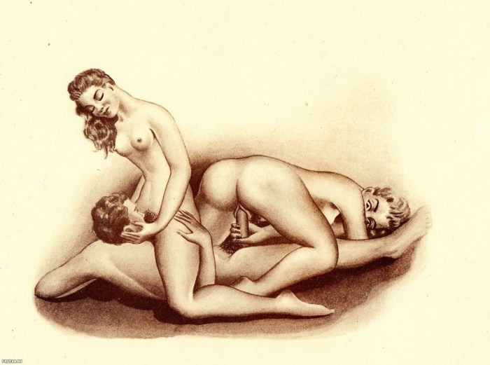 Erotic drawings of sexual intercourse