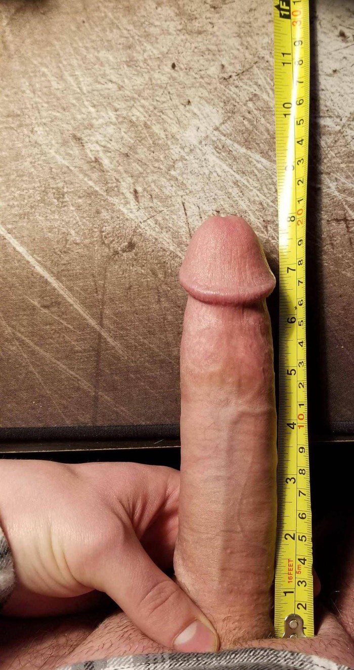 Member 17 cm