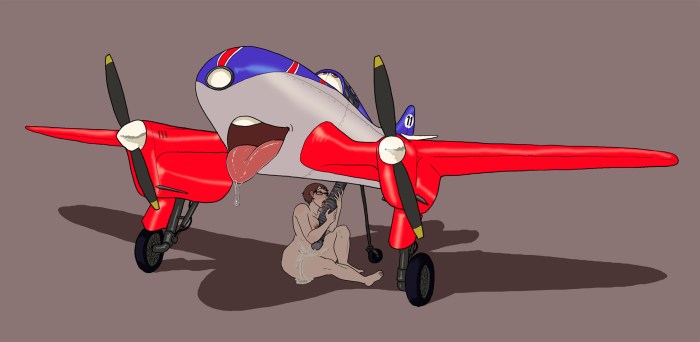 Humanization aircraft Hentai